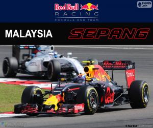 Puzzle M.Verstappen, Μαλαισίας Grand Prix 2016